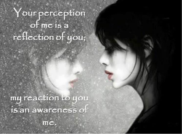 perception9