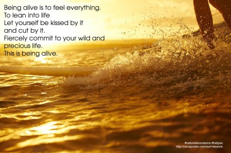 Image result for riding the wave of life