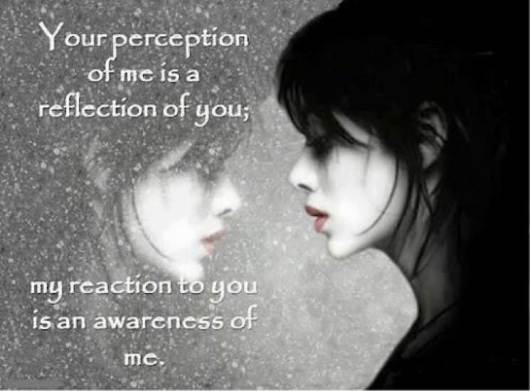 perception9