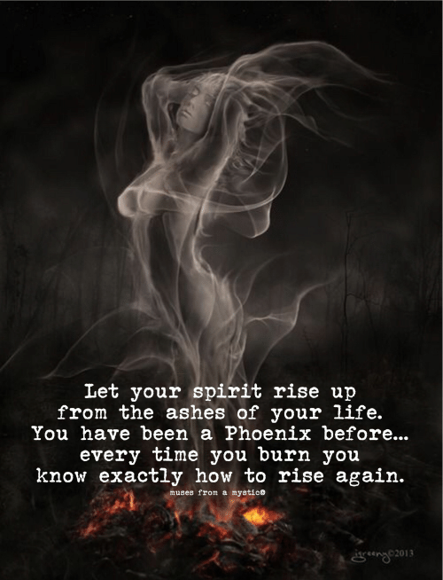 let-your-spirit-rise-up-from-the-ashes-of-your-55395388